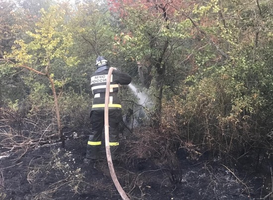 Крупный лесной пожар на севере Волгоградской области ликвидирован